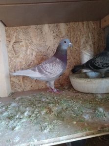 e7376ca8eee75bb62f35b2239c08225b