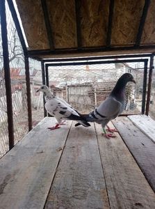 447f5426303e1e70f85cccfb16fb8d1d