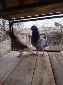 e399146d0c943519c1f77330433f3711