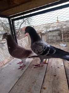 f14cb47126b057149fa4d0e71c648609