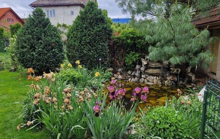 ; Acum ma bucur ca nu am scos irisii de pe langa iaz asa cum am vrut candva...
