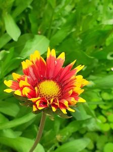 20250527_125143(0)