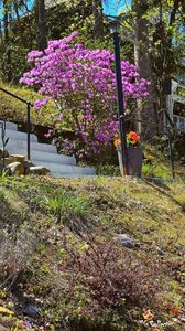 Spring time in Ottawa 7