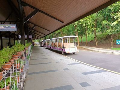 IMG20250520111814