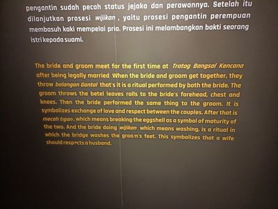 IMG20250521071516