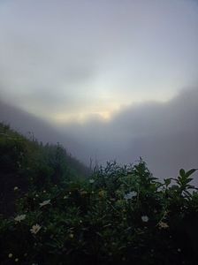 IMG20250523012025