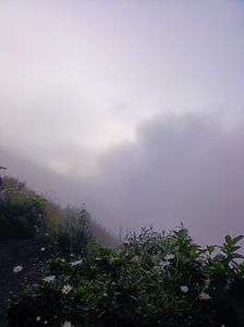 IMG20250523012437