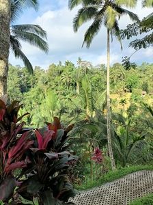 IMG20250524112025