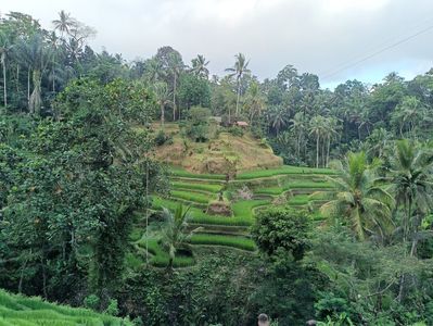IMG20250524113534