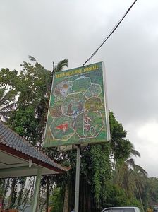 IMG20250524115734