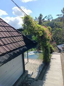 IMG20250525045145