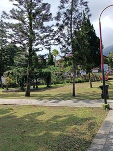 IMG20250525091535