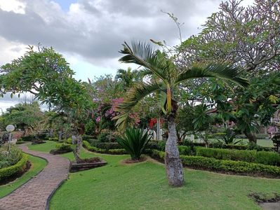 IMG20250525120105
