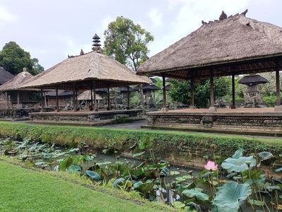 IMG20250527093019