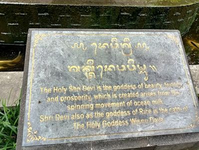 IMG20250527094539