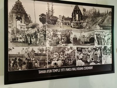 IMG20250527095411