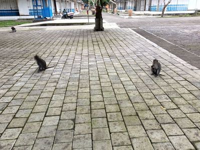 IMG20250527103158