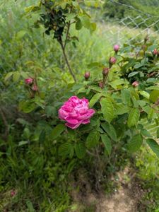 PXL_20250531_092420385