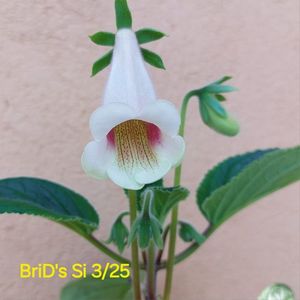 Img-2025.05.23