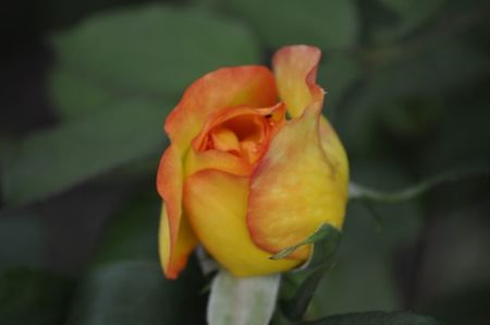 _DSC0025