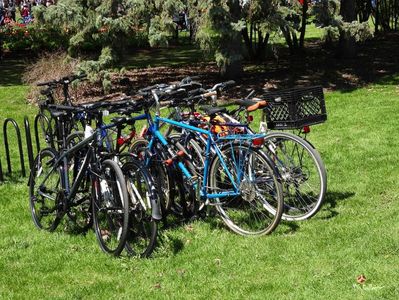Biks in Ottawa