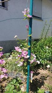 Img.2025.05.30