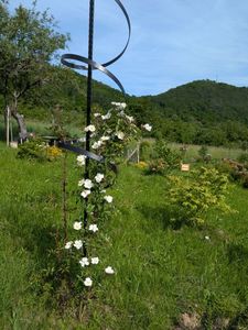 PXL_20250602_070139770