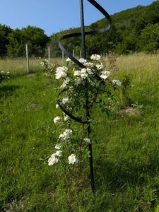 PXL_20250607_061607853