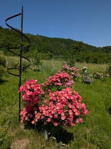 PXL_20250605_074914714