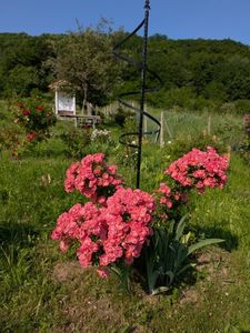PXL_20250607_060242111