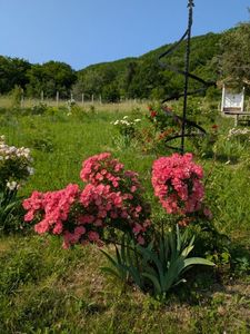 PXL_20250607_060306321