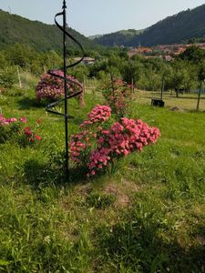 PXL_20250607_061259387