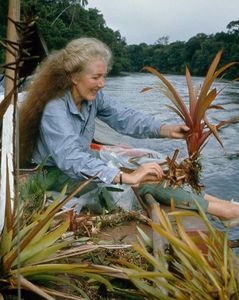 ꟾ　 　ɒɰɰɒ　 　ꟾ