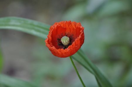 _DSC0106