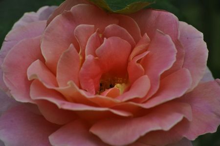 _DSC0212