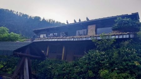 Tineret; La lăsarea serii
