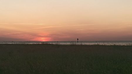 Img.2025.06.12
