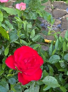 WhatsApp Image 2025-06-13 at 20.35.31_6ed2039a