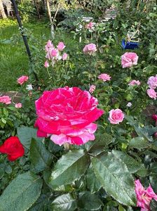 WhatsApp Image 2025-06-13 at 20.35.31_15ecae05