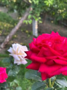 WhatsApp Image 2025-06-13 at 20.36.29_02af271e