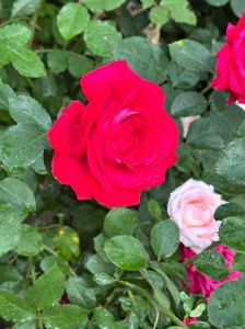 WhatsApp Image 2025-06-13 at 20.36.55_d51ff12b