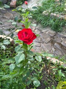 WhatsApp Image 2025-06-13 at 20.37.37_124aba4b