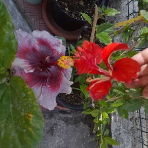 16.06.2025
