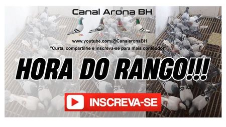 canalaronabh03