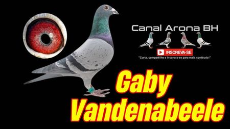 capagabyvandenabelle0021