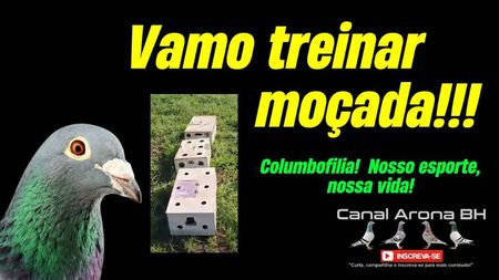capvamotreinarmossada01