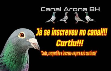 chamadacanalarona05