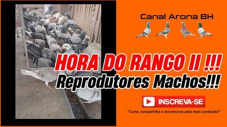 horadorango2canalarona