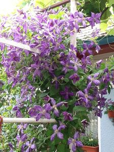 20250618_063514(0)