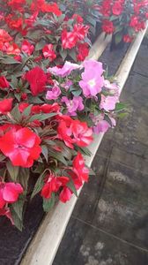 IMG20250618